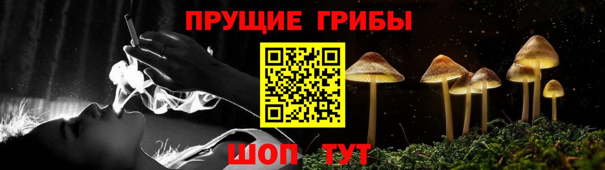 Галлюциногенные грибы мицелий  Вход с VPN  где купить   Чайковский 